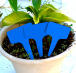 Štítky k rastlinám - modrá