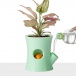 Samozavlažovací kvetináč - zelený