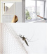 Sieť proti hmyzu do okna
